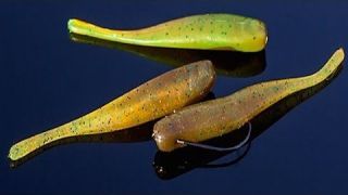 Finesse Technique for Clear Water High Pressured Situations with Mike Iaconelli #Berkley