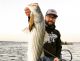 Striper Report from the Delta this Week