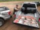 Illegally caught fish and More Tracked with DWR K9's