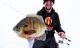 Panfish Tips for Tough Bites