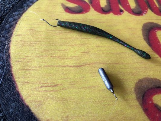 Dropshotting Finesse Worms for Stagers
BAIT: Berkley MaxScent Hit Worm
COLOR: Green Pumpkin &ndash; Again, the natural matte colors of the PowerBait are perfect for these super clear water situations.
LINE: Berkley NanoFil 8-pound-test mainline with a Berkley 100% Fluorocarbon leader in 6-pound-test.
PRESENTATION: Rigged on a dropshot with a 3/16-ounce weight and an 8-inch leader from hook to weight. An 8-inch leader was chosen because of the water clarity, which was up to 20-feet.
TARGETS: Staging fish on creek channels and secondary points for pre and post spawn fish in 10- to 25-feet.