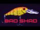 The Bad Shad - Hard Bait from Berkley