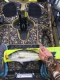 Violator arrested for fraud in a fishing tournament