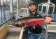 Coho Harvest Open 1st Time in 40 Years