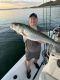 Pleasant Striper Report August 20