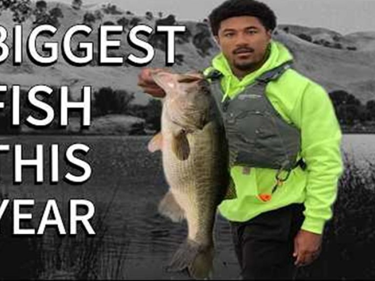 My Biggest Fish So Far This Year - I hit a local Bay Area lake in mid-February and the bass were feeding! Fishing from the kayak, I managed to land a 7lb giant along with a few other solid fish for an 18lb total bag.
