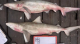 SHARK SPECIES BELIEVED EXTINCT FOUND IN FISH MARKET