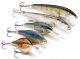 Match the Hatch Perfectly With New Rapala Custom HD Finishes