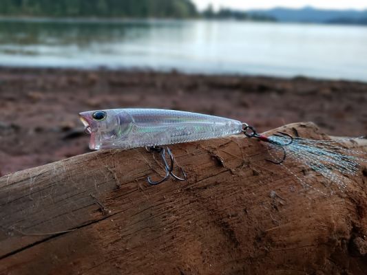 Yo-Zuri 3DR Series Popper | Up Close
3DR Lineup
The Yo-Zuri 3DR (3D Real) lineup includes several bait styles, and the finishes are all made for realistic presentations in clear water situations. The color shown is Real Glass Minnow and appears almost totally clear.
&nbsp;
&nbsp;