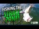 Tackle How-To: Fish the Strike Zone #LTB