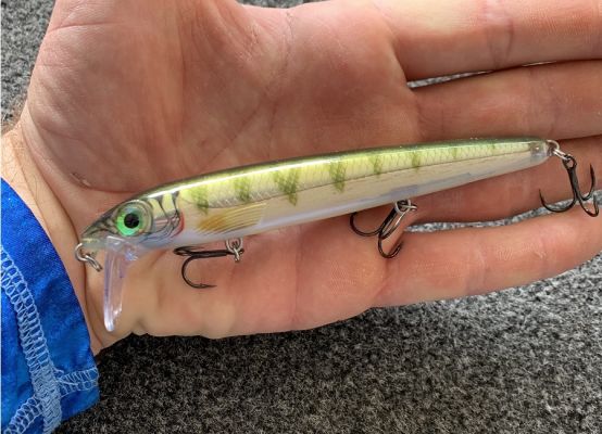 #3 Wake Bait
When the conditions line up for it, a wake bait can be an excellent way to catch big bass. Most of the time, this is the pre-spawn, according to Wheeler, but it has its moments other times of the year as well.
&ldquo;When the bass are just starting to pull in to the shallows when the water temps are in the low to upper 50&rsquo;s, I start thinking about a wake bait like the&nbsp;Rapala BX Waking Minnow,&rdquo; he said of the bait that is similar to the BX Brat in that it is balsa with a plastic shell.
He will fish it with a straight retrieve and just cast and retrieve it back to the boat. Wheeler prefers a seven-foot medium casting rod and will fish it on a 30-pound Sufix 832 braided line.
&ldquo;Most minnow-shaped wake baits like that are really light and you have to use spinning gear, but the BX Waking Minnow is heavy enough to get away with casting gear. It casts great, just like topwater baits,&rdquo; he said.
For the most part, Wheeler likes to focus on likely staging areas and adds that baitfish activity, or at least presence, is vital. While most wake bait fishing occurs in clear water, he believes it is not a requirement.
&ldquo;I look to the backs and creeks and places near spawning areas where they are feeding on baitfish before they spawn. While really clear water is the best situation, I&rsquo;ve been catching them on it this year in slightly stained water around home,&rdquo; he added. &ldquo;You still want a little visibility, though. It is ok if the water is a little green and not brown and muddy.&rdquo;
There are some lures that everyone is throwing and then there are the sleepers. Those are the lures that will put some more fish in the boat when you need to get a bite. Wheeler says these three have been consistent producers for him all year long.
READ RELATED: Jerkbaits with G-Man