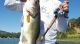 Clear Lake this Week | August 7