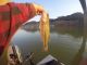 Fishing Oroville Lake This Week | September 6