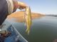 Fishing Report Oroville Lake This Week | October 17