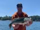 My Big Fish Gallery June 2025