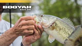 Spinnerbaits vs. Swim Jigs VIDEO
