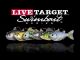 LIVETARGET Swimbait Series ProTips