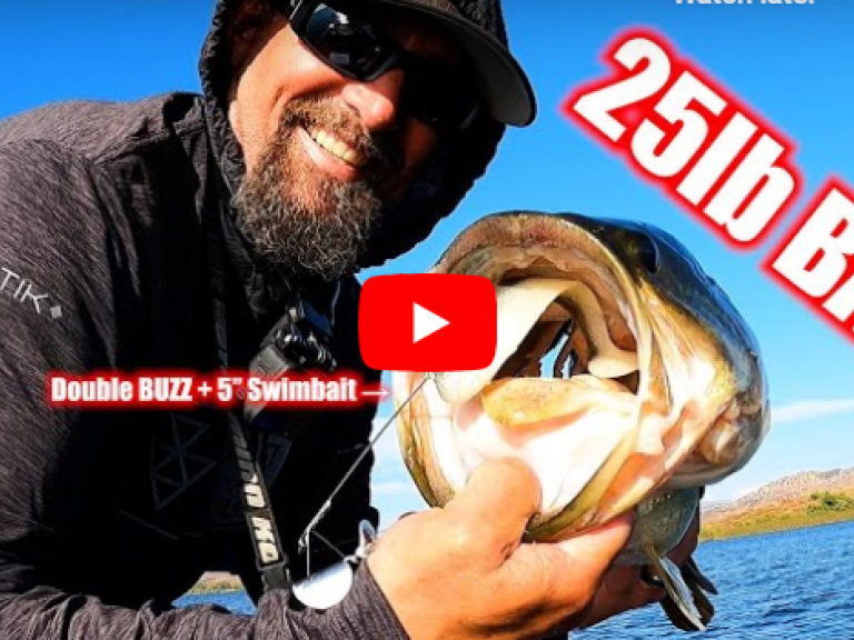 Is This Old Bait The New Buzz?! - Ambitious Buzz