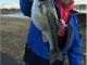 Fishing Lake Camanche Nov 29 Black Friday Shootout