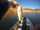 Lake Oroville Update This Week | Fishing Report Dec 13