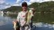 Fishing Jerkbaits for Swimbait Fish