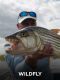 New Fishing Adventures For World Fishing Network