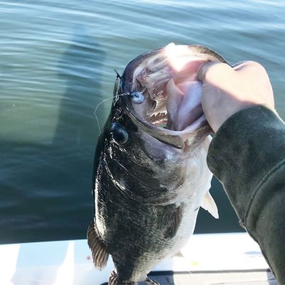 The Top Spin
Underspins are great tools for catching bass, especially when fishing for bass, keying on shad and other baitfish. The flash and vibration from them are great for attracting fish, but they have one downside and that's when fishing them right along the bottom and when in shallow water.
The Top Spin is just like an underspin, but the blade is on the top of the bait, making it more visible to fish when crawled right along the bottom.
"It's a great alternative to an underspin and works great in place of one and works better when you are fishing it slowly on the bottom," he said. "That's when you lose some of the flash and vibration from a regular underspin because the blade is hitting bottom."
He also sees it as a better option when fishing extremely shallow water.
"When we first got to use them on Clear Lake last winter, we were catching fish in one to three feet of water with it," he shared. "I feel like that's too shallow for a standard underspin to work correctly unless you hold your rod tip way up high."
Franceschi has also had success rigging a creature bait on it and flipping and pitching docks, giving the bass a new look.
"That's another great thing about the Top Spin; it has a great action as the bait is falling whether in shallow or deep water," he said. "I like to pitch the &frac12;-ounce version around on 20-pound P-Line Tactical Fluorocarbon. If I'm using a lighter one, I'll fish it on 10 or 12-pound line."
&nbsp;