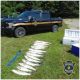 Officers seized in excess of 50 striped bass