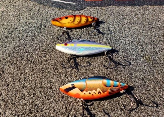 #4 Clear Water Rat-L-Trap Options
Shown: (Top to Bottom) Pumpkin Craw, Living Chrome, Bayou Blue Craw
This group of colors is for water that clear to mildly clear.
Targets:&nbsp;&nbsp;Pitch and flip through the sparse tules through Frank&rsquo;s and Mildred &ndash; trying to bump the tules with the Trap. These are areas where bass are going to be spawning or likely to spawn and you will be able to catch &lsquo;em. Whether they are coming or going &ndash; pre-spawn, spawn or post-spawn, they will be in these same general areas.
Tip #1: Scale Down Your Trap as The Tide Descends
Alternate between a &frac14;, &frac12; and &frac34;-ounce Rat-L-Trap, using the &frac34;-ounce with the higher tide, as it pulls out, move to the &frac12;-ounce Trap and the &frac14;-ounce is a good look on a completely low tide. The bigger, heavier Traps are going to bog down in the places that you want to fish them and as the tide starts to descend, you need to lighten up the baits, so you can keep the baits fishing in the strike zone.
Tip #2 For Heavy Cover Trap Mod
Remove the rear treble hook and increase the front treble hook by one size. They come standard with a #4 treble, replace it with a #3 or in some cases a #2 and now you have a 4-wheel-drive Trap that you can throw at tules, dense grass and primrose, without worrying about getting hung up. This will make the lure sit nose down. The first thing that it comes in contact with the cover is the nose and when you hit the nose, it will deflect nose-to-back, moving the hook out of the way. This will allow the lure to track back through the cover and you to keep fishing the bait, without snagging. If you try to throw it through the tules with two hooks on it and you&rsquo;re going to be in trouble.
The Rat-L-Trap Open presented by Best Bass Tournaments blasts off April 22.&nbsp;Register here.