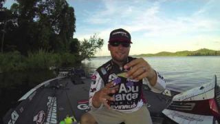 Owner Safety Caps with Justin Lucas