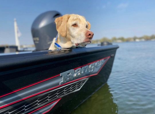 Dealer Demo Boats
Each year, boat dealers can obtain a demo boat at substantial savings, and the eventual buyer is the one who often benefits the most.
&ldquo;We use the boat for boat shows and a handful of demo rides for customers. Mine hardly ever gets used on the water,&rdquo; Behler said. &ldquo;To give you an idea, my 2019 demo that we have for sale only has 13.5 hours on it.&rdquo;
Besides the ability to get a boat with low hours, a demo boat is often decked out with every option imaginable to showcase what Ranger can do with a bass boat.
&ldquo;That boat is loaded. The retail price of it is over $90,000, and we are selling it for roughly $78,000. The buyer will be the original registered owner of this boat,&rdquo; he shared.
&nbsp;
&nbsp;