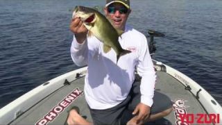 Bobby Lane Search Bait Tactics For Bass