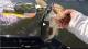 Ca Delta Low Tide Bass Fishing Teaser VIDEO