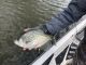 Clear Lake Fishing Report this Week March 28