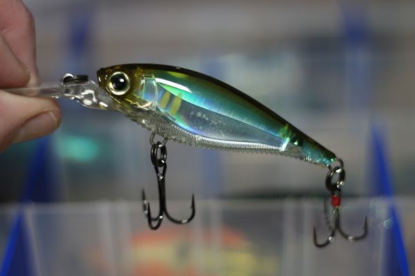 Yo-Zuri 3DB Series Shad
The shad profile crankbait has long been a popular choice for cold water, however most are made of balsa and can be difficult to cast. The Yo-Zuri 3DB Series Shad has the same great action but is heavy enough to cast with baitcasting gear.
