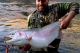 Massive Trout at Oroville with Swimbait