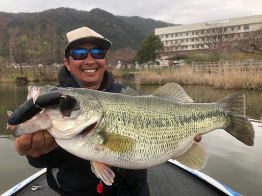 Each fall, anglers gear up for some frenetic fishing as bass feed up and prepare for the spawn. Shad and other baitfish are on the move and many anglers reach for standard walking topwaters. They work well, but there are several different options, including buzzbaits and wake baits.
Bassmaster Elite Series pro Masayuki Matsushita hails from Japan and has designed several of his favorite surface baits for noted lure manufacturer Deps Japan.
&nbsp;
&nbsp;
&nbsp;