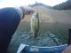 Awesome Fishing Oroville Lake This Week | Oct 9