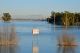 Wildlife Corridors at Yolo Bypass Will Help Animals Escape Flooding