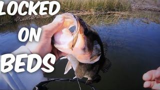 Ca Delta Bass Fishing, 2 trips 1 clip VIDEO