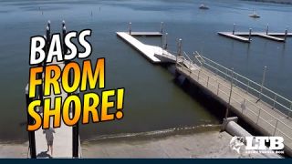 Tackle How-To: Bass From Shore #LTB