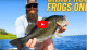 Bearded Bassin' Snag Proof Video