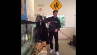 #RIPVine: The Best Of Mystery Tackle Box Vines  #MTB