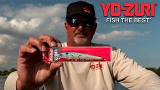 Conditions for Jerkbaits with Jimmy Reese