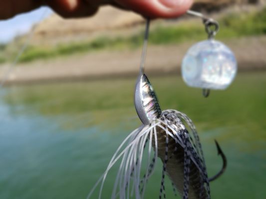 Additional Design Features
Yo-Zuri states that the balls on the bait are more aerodynamic than a spinnerbait blade and this is true.
Casting the bait is easy, and distance is no issue.
READ RELATED: Japanese Glide Baits | Here&rsquo;s What You Need to Know About the Ninja Glider