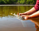 Smalltooth Sawfish "Critical Habitat" ... What? Here's What it Is