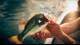 Fishing Undercut Banks VIDEO