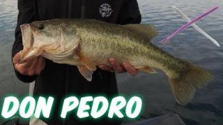 Lake Don Pedro Fall Bass Fishing