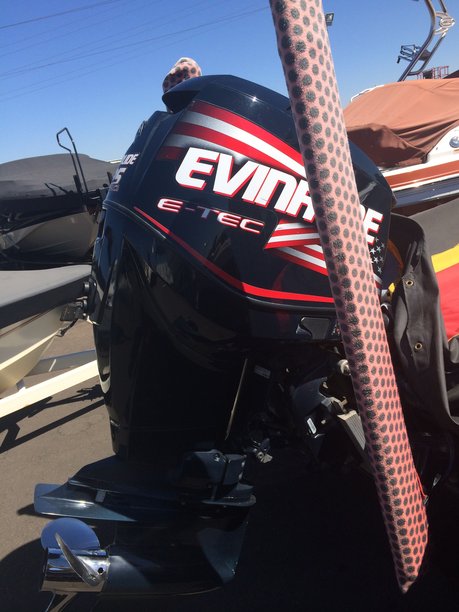 evinrude1.jpg