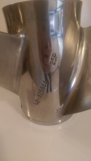 IMAG0621.jpg
